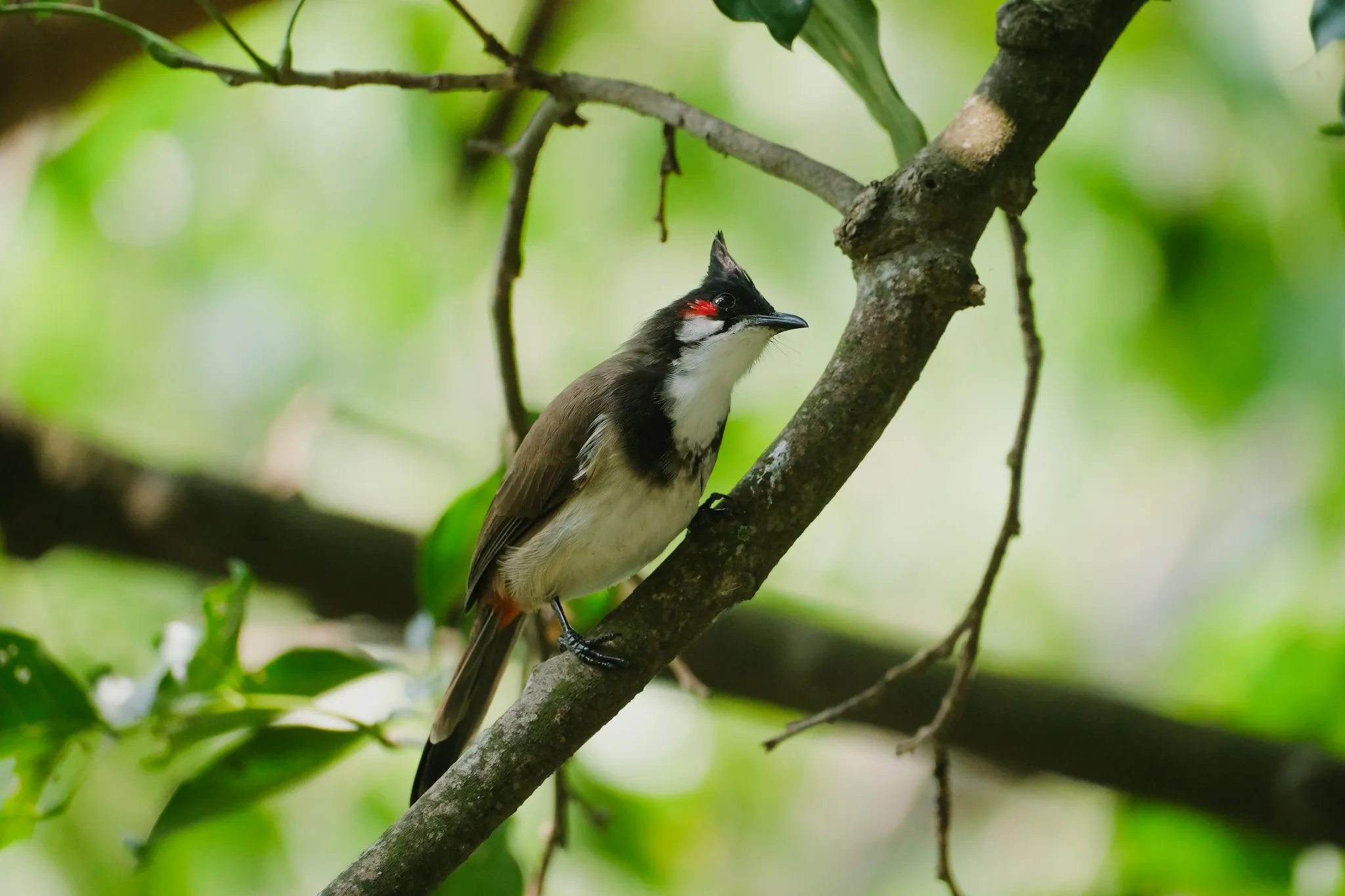 Wildlife – Bild 5