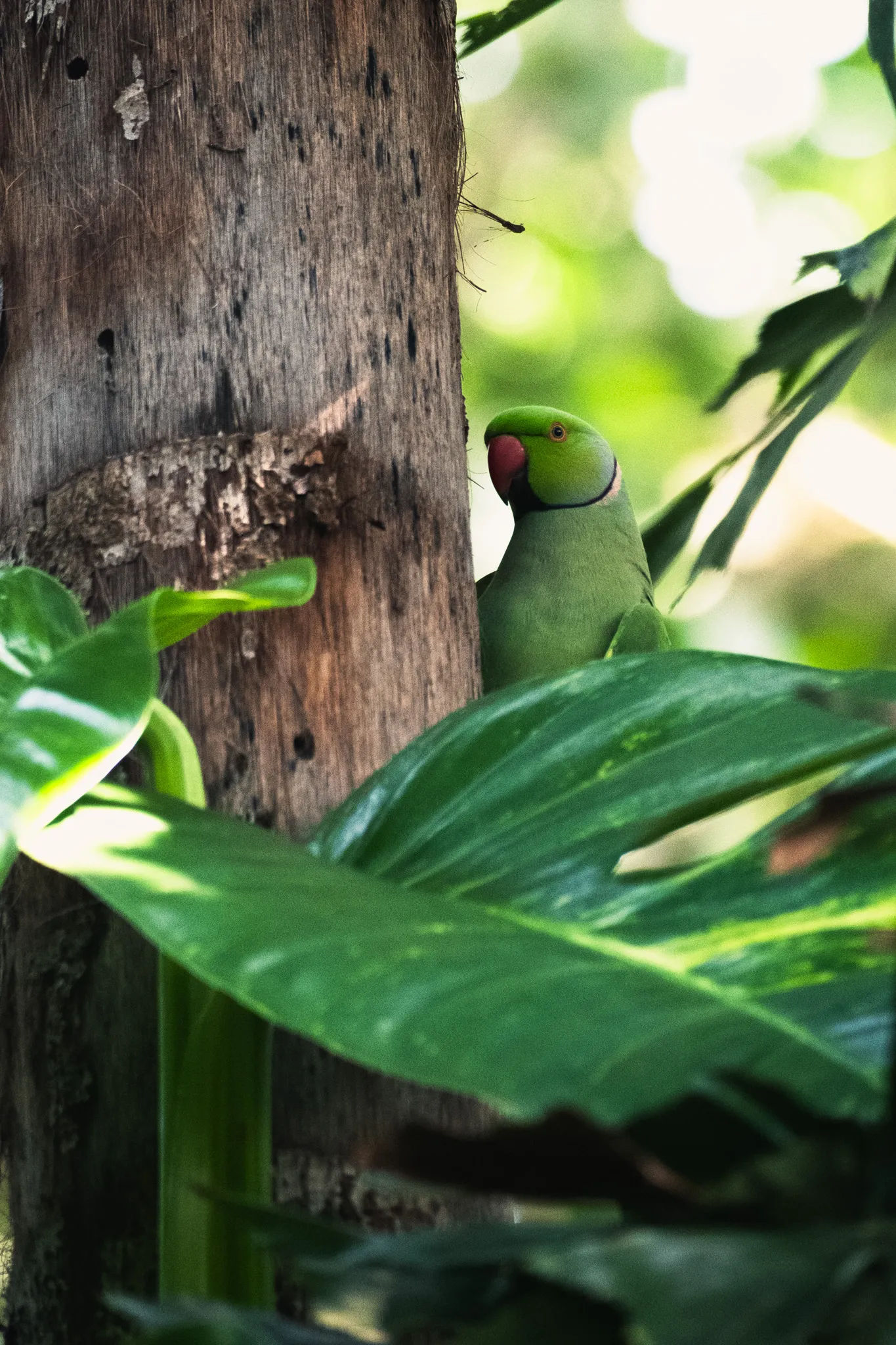 Wildlife – Bild 6