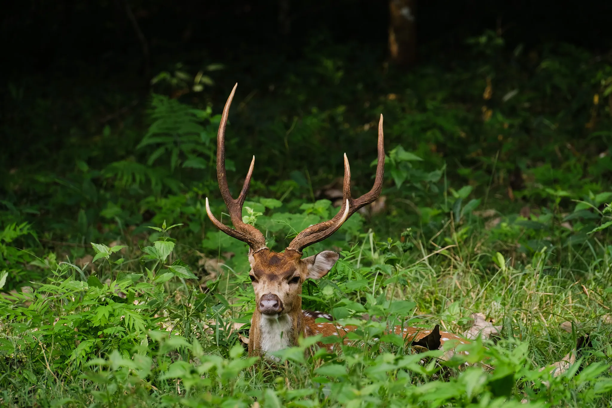 Wildlife – Bild 10