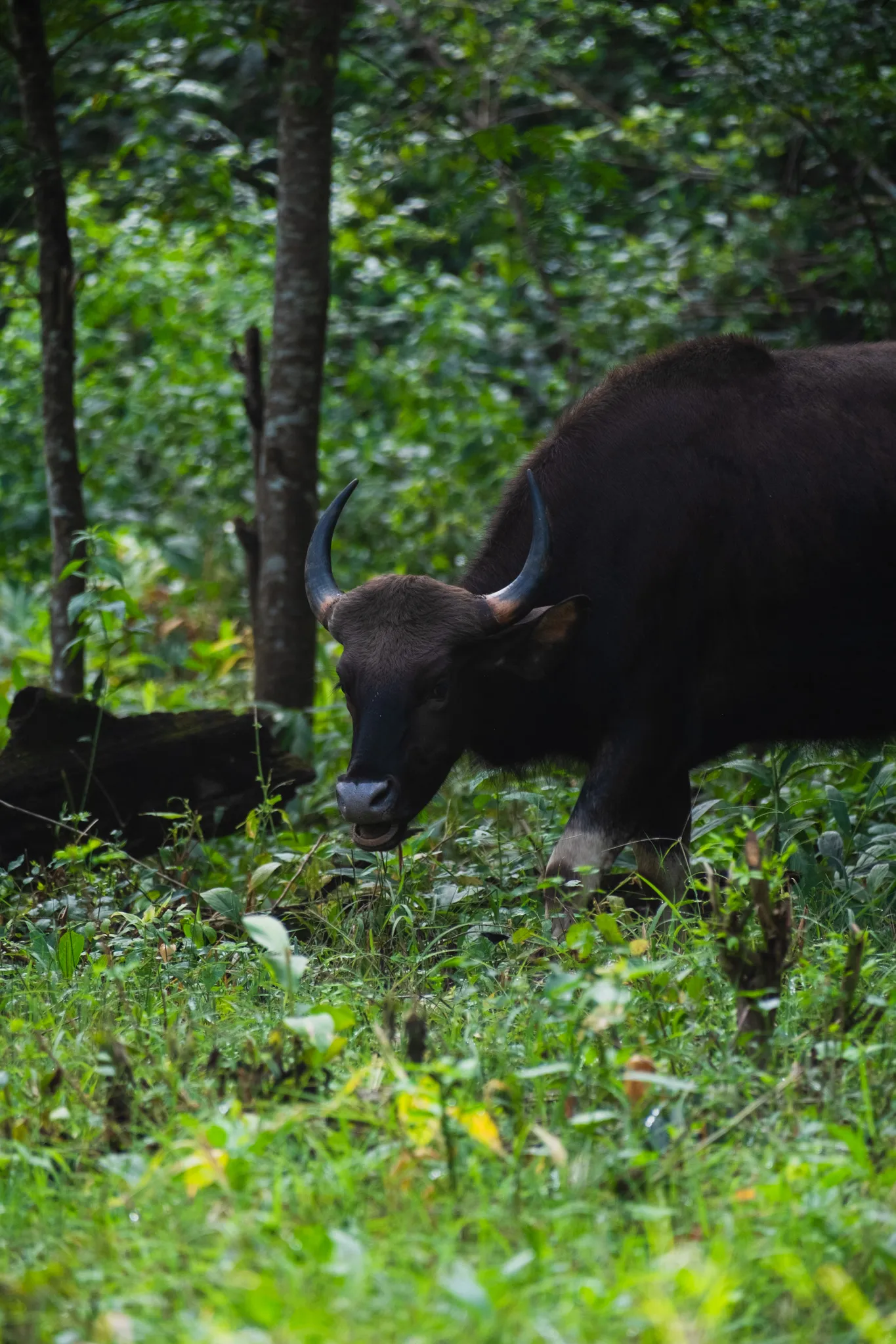 Wildlife – Bild 13