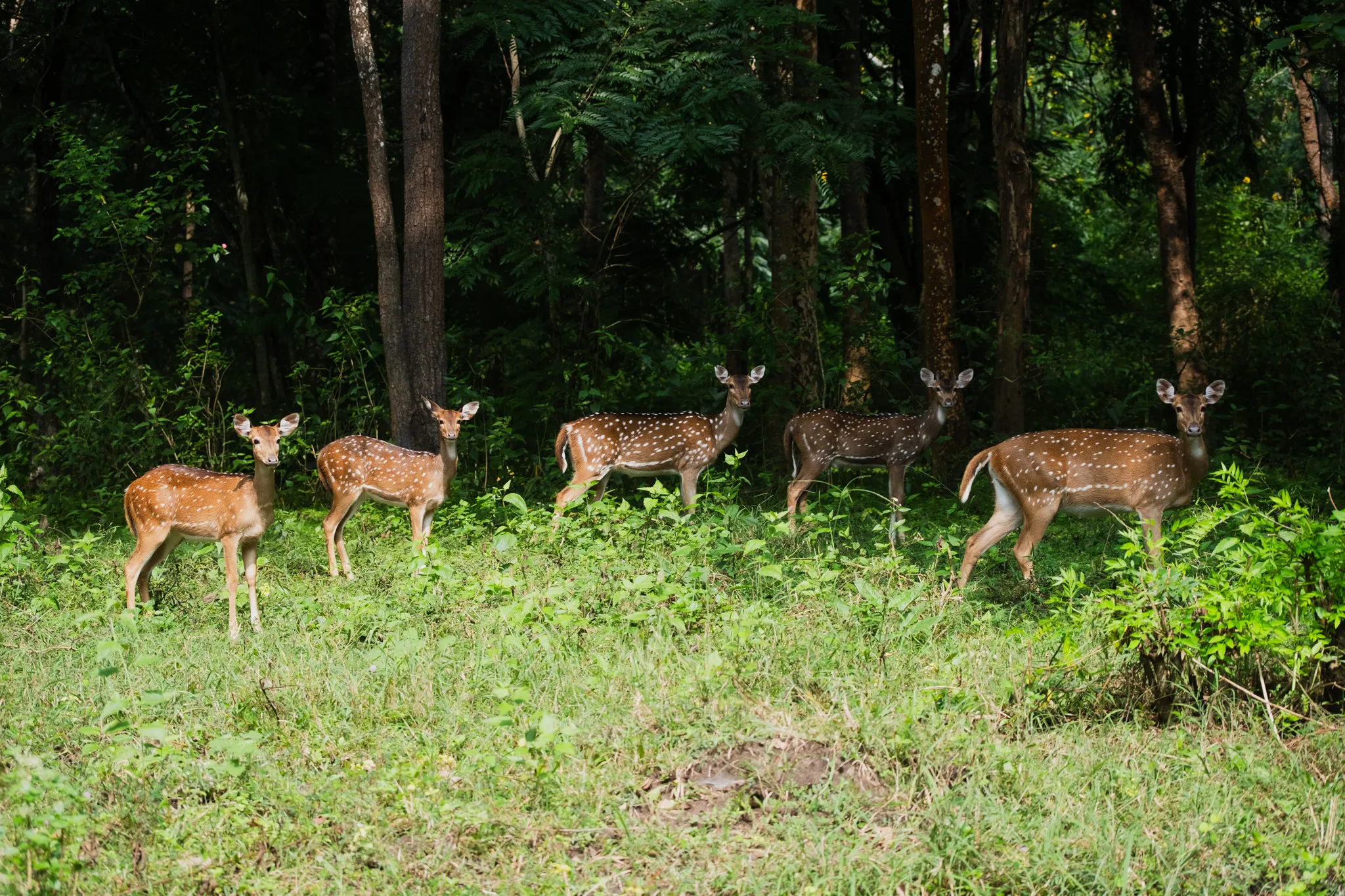 Wildlife – Bild 14
