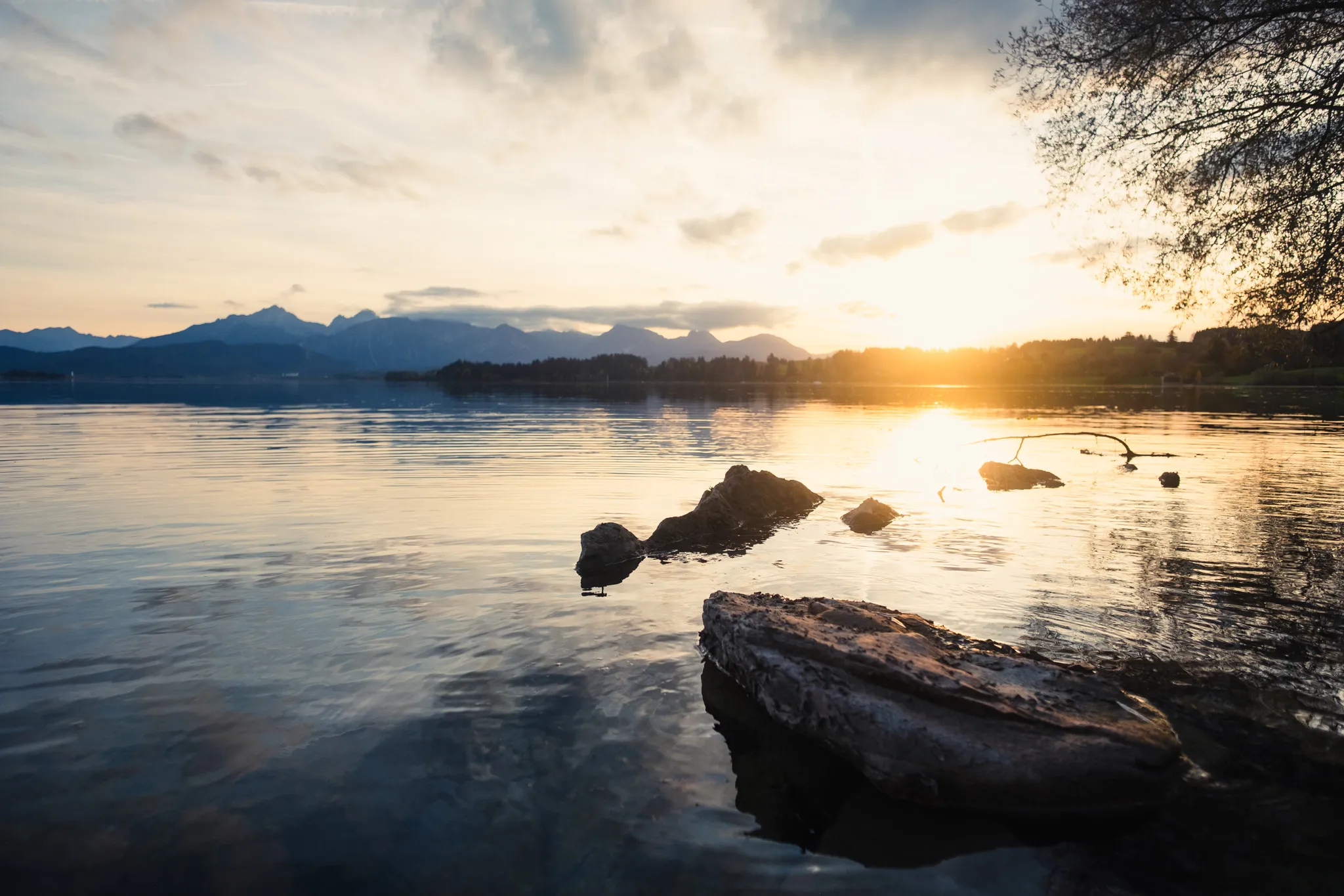 Landscape – Bild 1