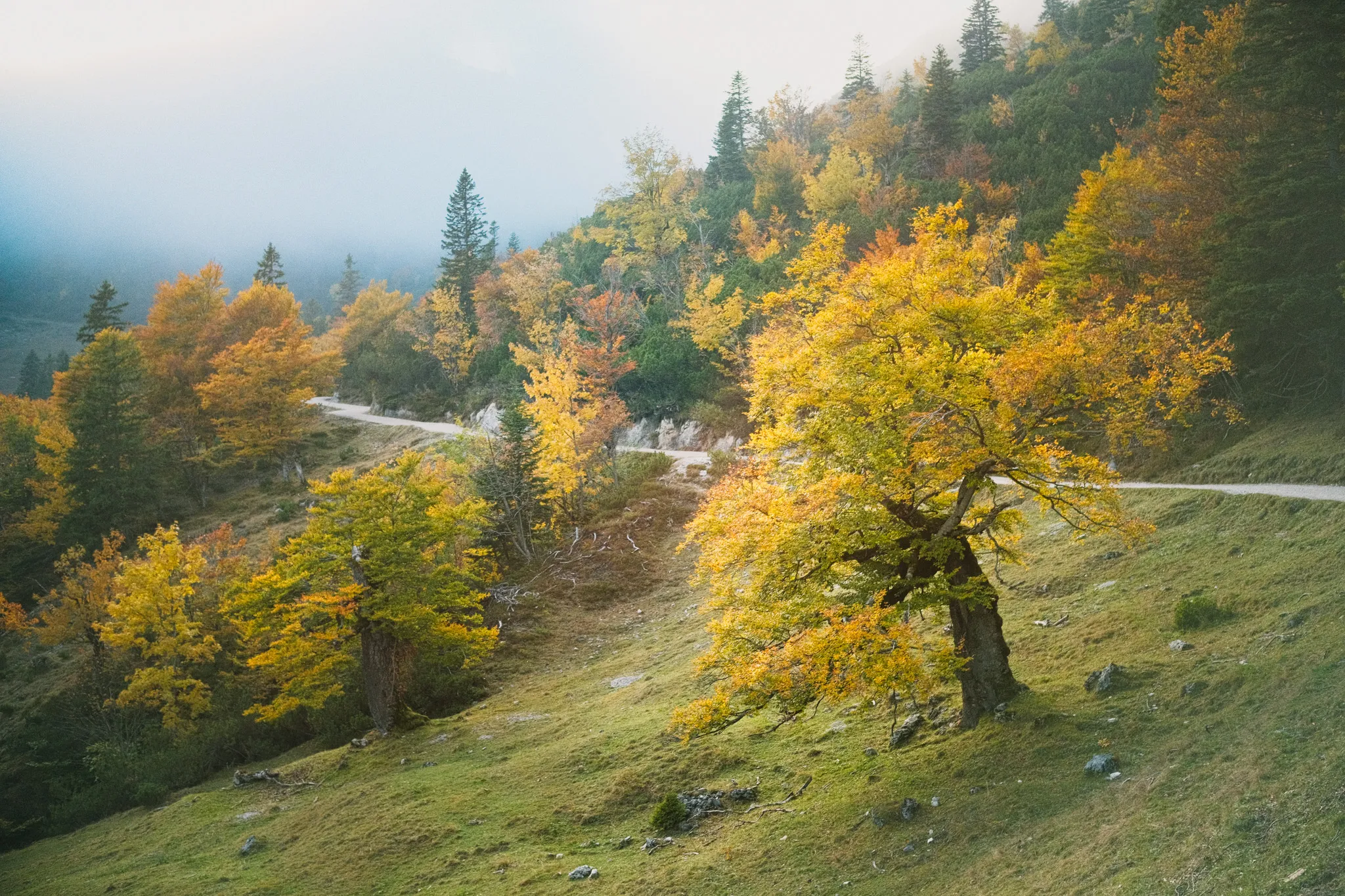 Landscape – Bild 21