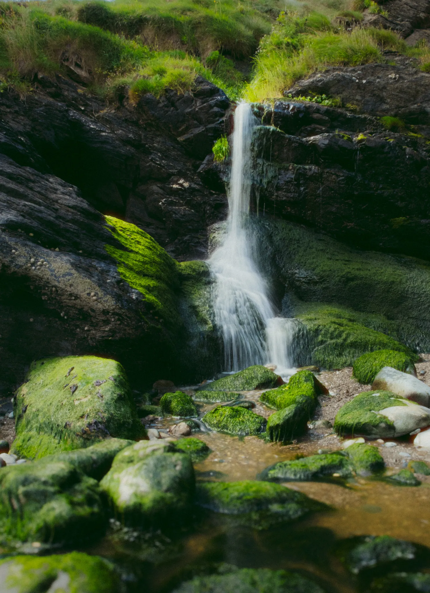 Landscape – Bild 22